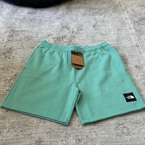 The North Face Men's Medium Never Stop Exploring Shorts. Wasabi colored. NWT’s.